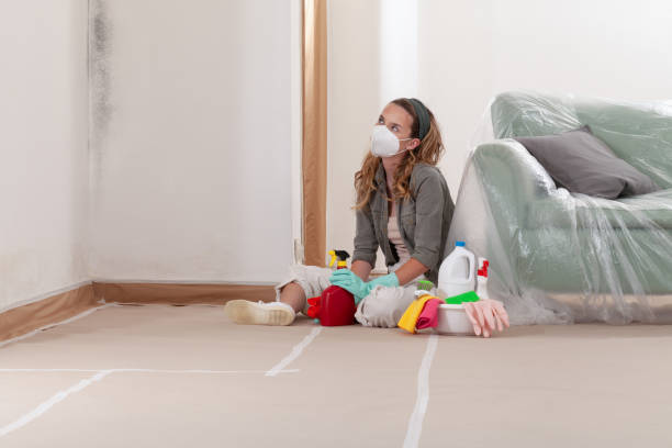 Reliable Mold Remediation contractor in Clinton, NC by Cheap Mold Removal